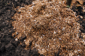 A large pile of manure, humus, fertilizer from leaves from the forest lies on the ground. Close-up photography, nature, background, top view.