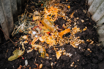 Rotten, discarded vegetables, fruits lie on the ground in a garbage pit. Photography, agriculture,...