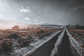 Mynydd Illtud Common