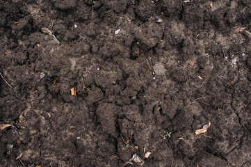 Soil, soil, earth, black soil close-up after digging. Photography, nature, background, texture.
