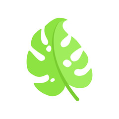 Single monstera leaf vector illustration. Doodle of botanical sticker or tropical jungle leaf isolated on white background. Summer, vacation concept