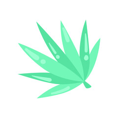 Agave plant vector illustration. Doodle of botanical sticker or tropical jungle leaf isolated on white background. Summer, vacation concept