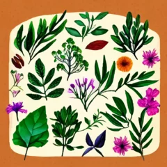 Fotobehang Hand drawn watercolor Painting, Leaf, Flower, Eucalyptus Tree, Plant. watercolor set of herbs, wildflowers stock illustration  © Mosarraf