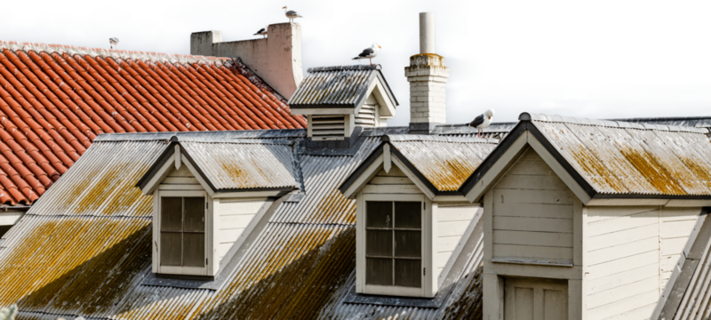 Roof with pigeons on Alcatraz (with transparent sky)