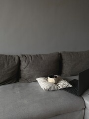 Grey stylish sofa in the living room, Mocap room