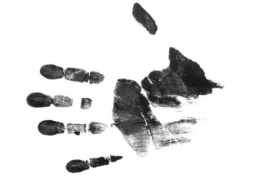 fingerprint hand palm texture png isolated 