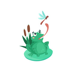 Comic frog catching dragonfly vector illustration. Funny aquatic animal cartoon character sitting on lily leaf in swamp isolated on white background. Nature, wildlife concept
