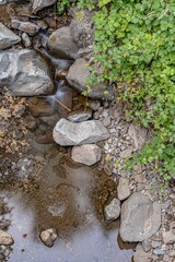 Small stream in the middle of the woods