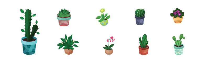 Green Indoor Garden Plants Growing Ceramic Pots Vector Set