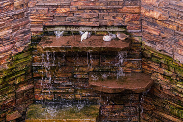 Three little birds bathe in splashing water on a rock.