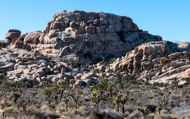 Joshua Tree National Park, Joshua Tree, California