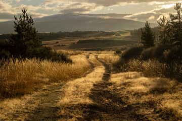 Obraz premium Galicia