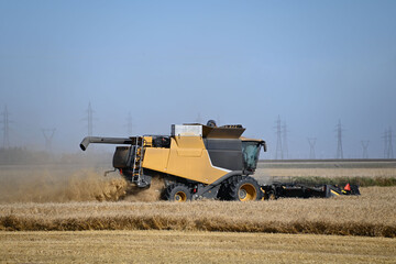 Fototapeta premium a close up of a yellow combine cutting a crop
