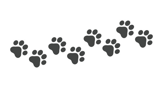 Paw print foot trail. Cat paw print. Cat paw silhouette. Vector