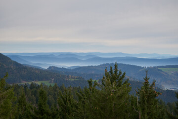 Fototapeta na wymiar black forest with fog between the hills