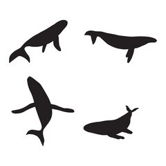 Whale, black silhouette ocean animal. Sealife in Scandinavian style on a white background. Great for poster, card, apparel print. Vector illustration