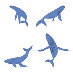 Whale, ocean animal. Sealife in Scandinavian style on a white background. Great for poster, card, apparel print. Vector illustration