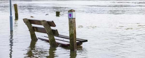 Wooden bench in flooded area near ferry pond Olsterveer at crossing IJssel river in Olst Wijhe Welsum in Overijssel in The Netherlands
