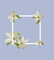 Creative layout with flowers and white frame. Spring minimal concept. Nature background.