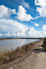 Bassins et marais salants de l'ile de Ré