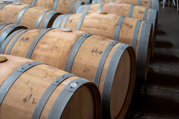 Rows of french and american oak barrels in cellars of winery in Rioja wine making region, Spain