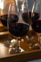 Tasting of rioja wines, visit of winery cellars with french or american oak barrels with agening red wine, Rioja wine making region, Spain
