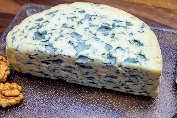 Cheese collection, piece of French blue cheese auvergne or fourme d'ambert
