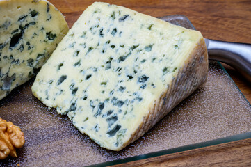 Cheese collection, piece of French blue cheese auvergne and fourme d'ambert