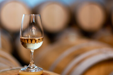 Tasting of rioja wines, visit of winery cellars with french or american oak barrels with agening red wine, Rioja wine making region, Spain