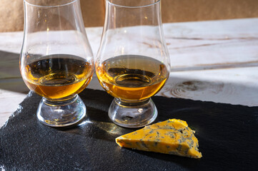 Scotch single malt and blended whisky tasting on distillery in Scotland close up