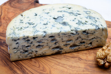 Cheese collection, piece of French blue cheese auvergne or fourme d'ambert
