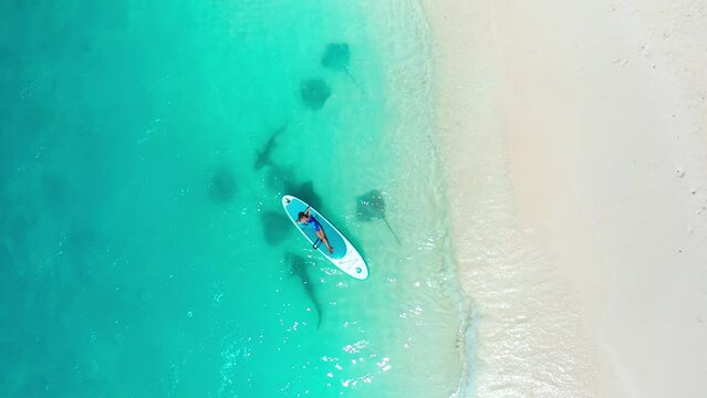 A little girl lying on a sup board in turquoise water with a white sand beach with stingray and sharks on Fulidhoo island in Maldives. Aerial top view