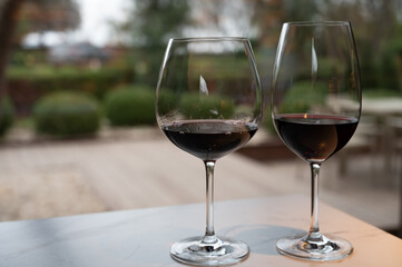 Tasting of red reserva rioja wines, visit of winery cellars in Haro, capital of Rioja wine making region, Spain