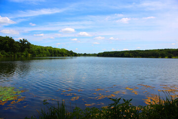 Obraz na płótnie Canvas Peaceful Lake