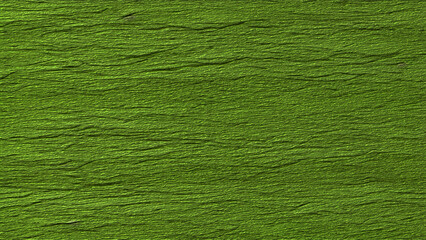 Green cement wall texture or background for design with copy space for text or image. Abstract Background. 3d rendering
