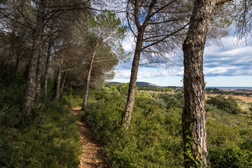 Chemin de randonnée sur les flancs du massif de la Gardiole à Frontignan
