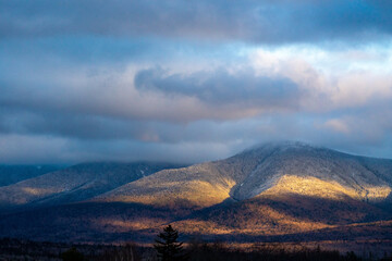 snow covered trees in white mountains national forest at golden hour