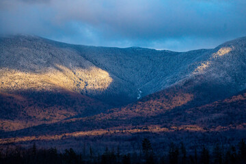 snow covered trees in white mountains national forest at golden hour