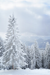 Fototapeta na wymiar Winterlandschaft in den Ammergauer Alpen, Bayern, Deutschland