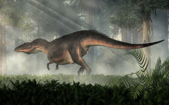 Acrocanthosaurus was a type of carcharodontosaurid dinosaur that lived during the early Early Cretaceous in what is now North America. It's distinguishing feature is a set of neural spines on its back
