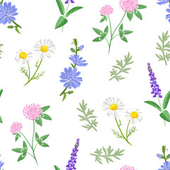 Wild meadow herbs and flowers seamless pattern. Botanical floral background. Vector cartoon illustration of clover, chamomile, chicory, wormwood and sage.