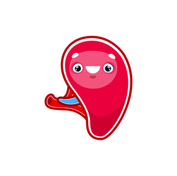 Cartoon spleen human body organ character. Vector anatomical lymphatic system personage with kawaii smiling face, health care, medicine for kids