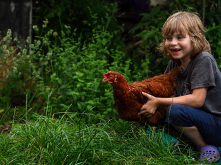 kid chicken outdoor 
