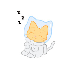 cat sleep in universe - PNG