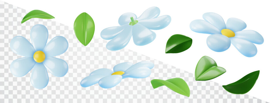 Realistic blue flower set in different projections. 3d Blue lacquered chamomile. Design elements, spring, summer.