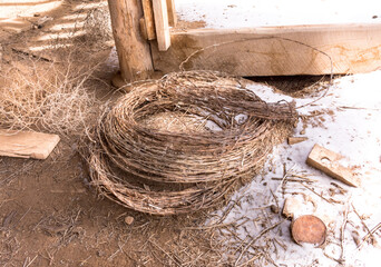 Roll of barbed wire on floor in overgrown, abandoned potato bunker, San Luis Valley, Colorado....
