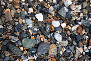 Background of sea stones. Stones of different shapes, sizes and colors on the seashore, close-up.