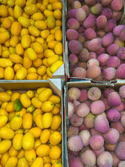 Fortunella kumquat and litchi chinensis, lychee - ecchotic fruits, top view.