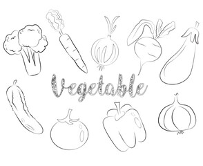 Vegetable vector sketch isolated on white background