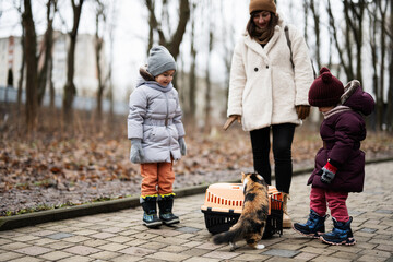 Mother and daughters walking with kitten in travel plastic cage carriage outdoor at park.